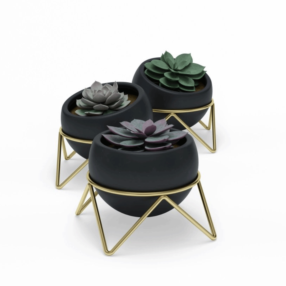 UMBRA - lot de 3 pots POTSY noirs